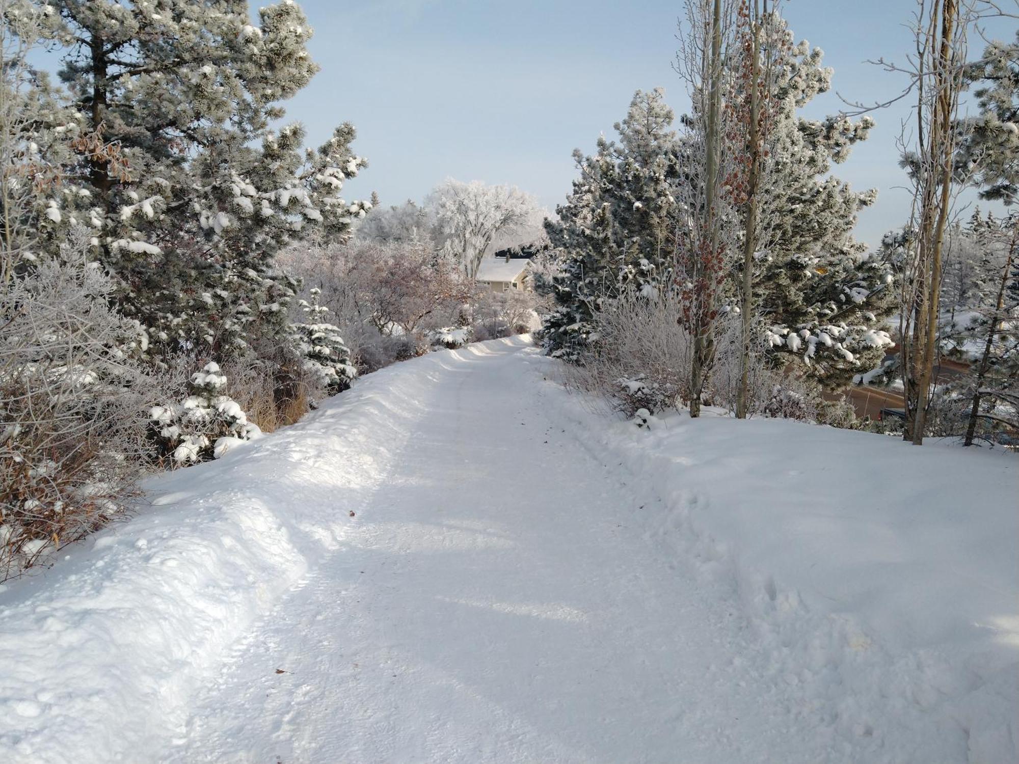 U Of A Homestay, Trails & Whyte Ave Эдмонтон Номер фото