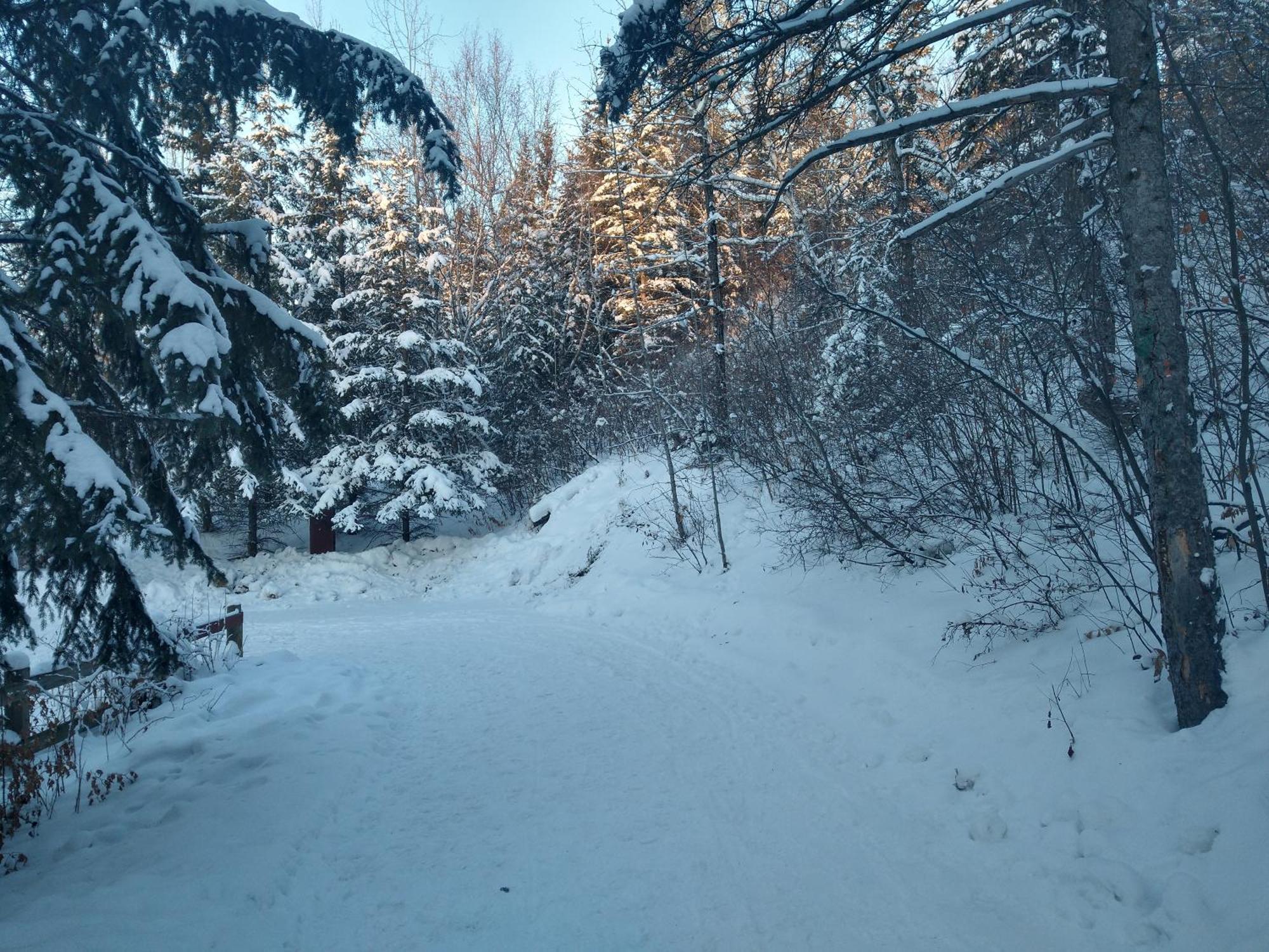 U Of A Homestay, Trails & Whyte Ave Эдмонтон Номер фото