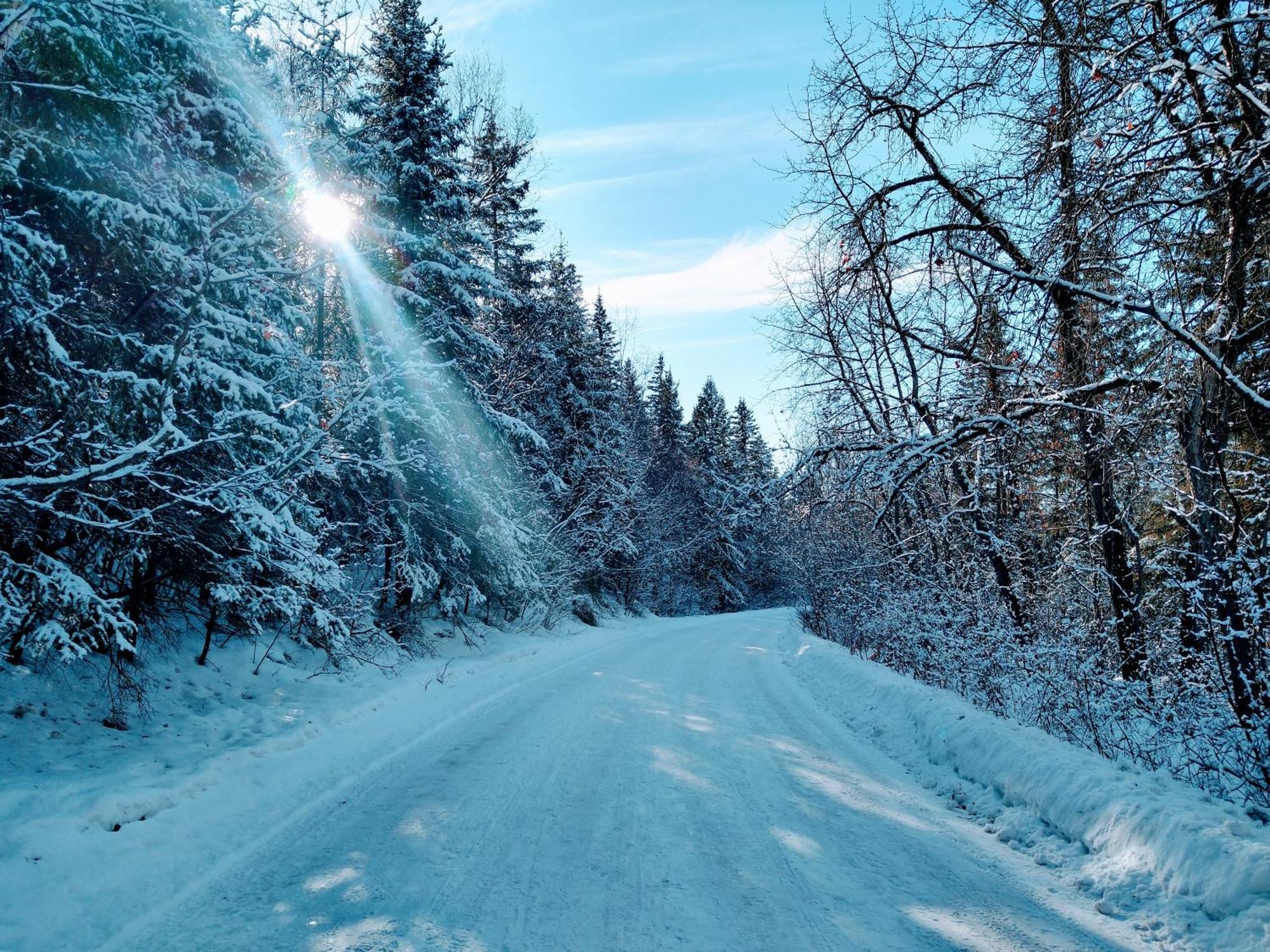 U Of A Homestay, Trails & Whyte Ave Эдмонтон Номер фото