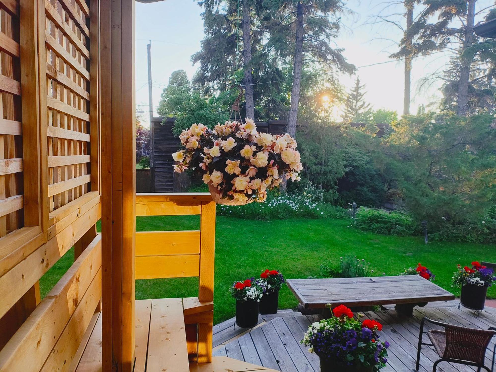 U Of A Homestay, Trails & Whyte Ave Эдмонтон Экстерьер фото
