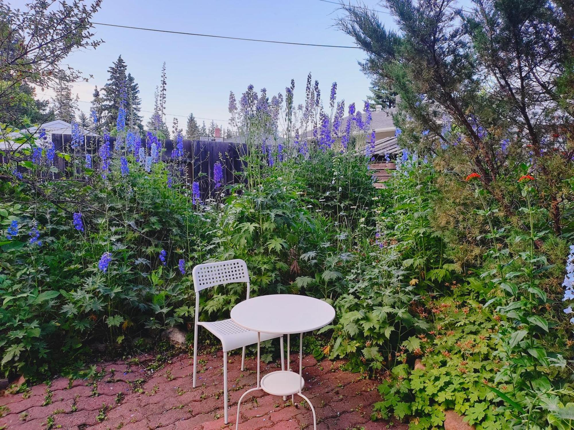 U Of A Homestay, Trails & Whyte Ave Эдмонтон Экстерьер фото